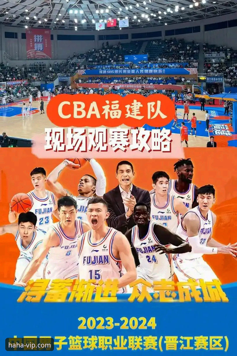 哈哈体育平台观赛体验升级教程：从山西横扫青岛看CBA季后赛实战策略